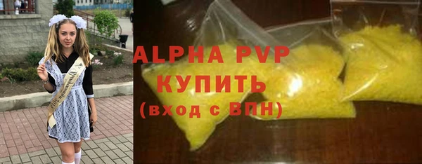 a pvp Бородино